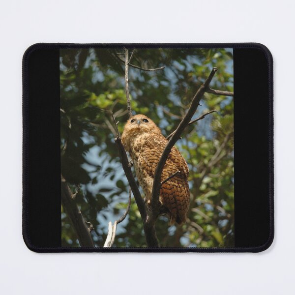 Pel's Fishing Owl Mouse Pad