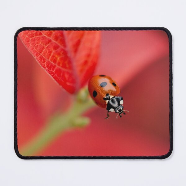 Item preview, Ladybird On An Autumn Leaf designed and sold by rawshutterbug.