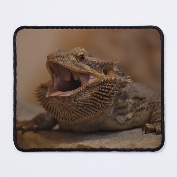 Item preview, Hissing Bearded Dragon designed and sold by rawshutterbug.