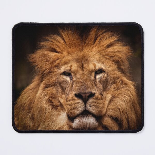 Item preview, Lion Portrait designed and sold by rawshutterbug.