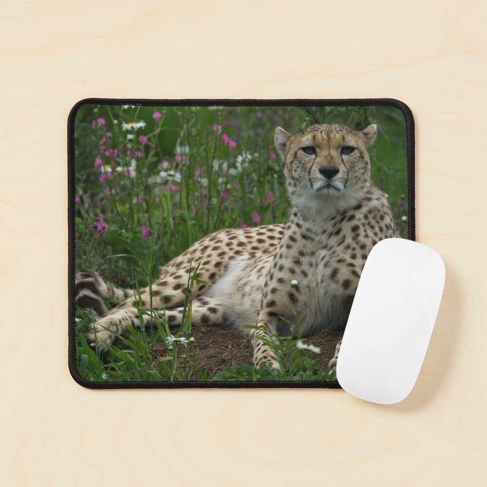 Item preview, Mouse Pad designed and sold by rawshutterbug.