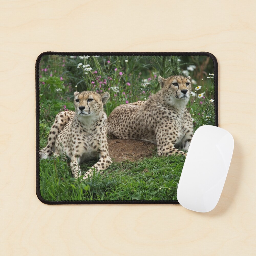 Item preview, Mouse Pad designed and sold by rawshutterbug.