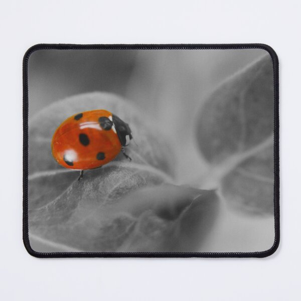 Item preview, Lady Bug designed and sold by rawshutterbug.