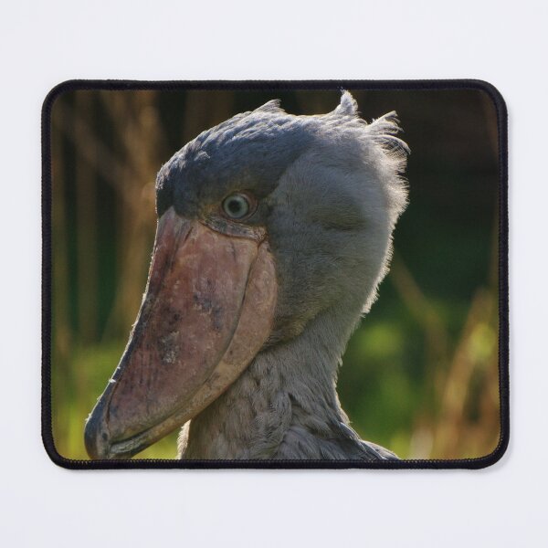 Item preview, Shoebill designed and sold by rawshutterbug.