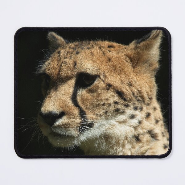 Item preview, Cheetah designed and sold by rawshutterbug.