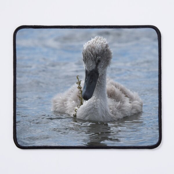 Item preview, Cygnet designed and sold by rawshutterbug.