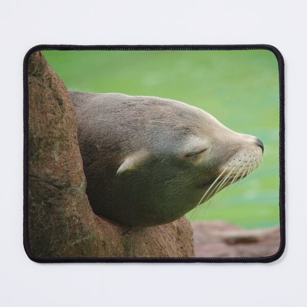 Item preview, Sleepy Sea Lion designed and sold by rawshutterbug.