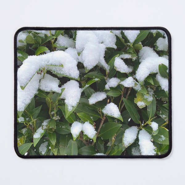 Item preview, Snow on green leafs, pure nature in the wintermood designed and sold by Between Clouds.