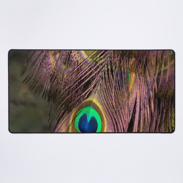 Item preview, Peacock Feathers designed and sold by rawshutterbug.