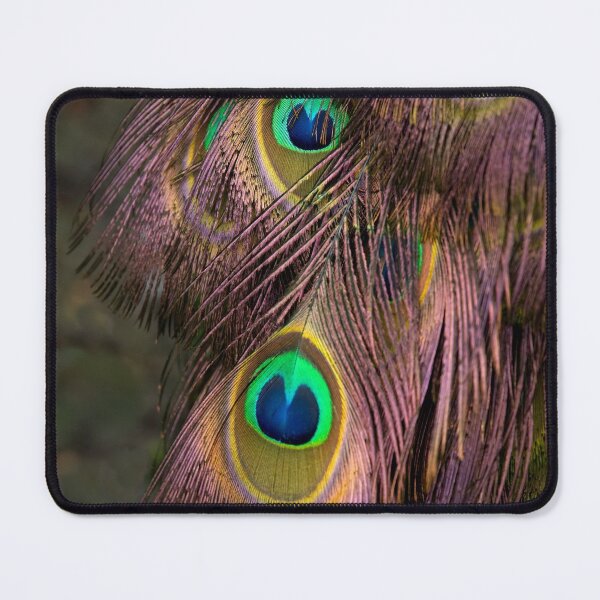 Item preview, Peacock Feathers designed and sold by rawshutterbug.