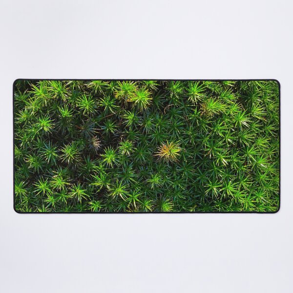 Item preview, Green moss, pure nature from the woods in the sunlight designed and sold by Between Clouds.