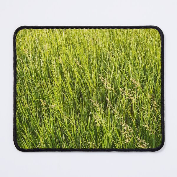 Item preview, Blooming wild bromus designed and sold by psychoshadow.