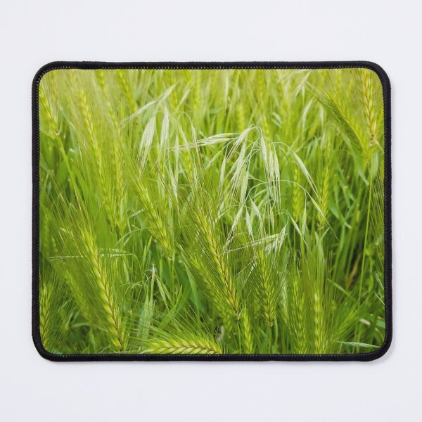 Item preview, Blooming wild foxtail plants designed and sold by psychoshadow.