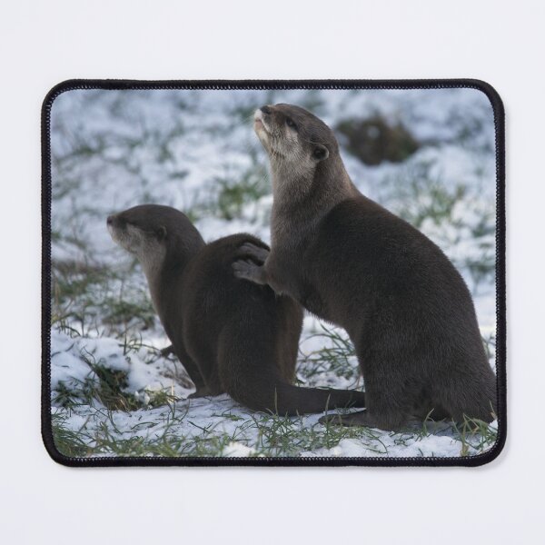 Item preview, Otters In The Snow designed and sold by rawshutterbug.