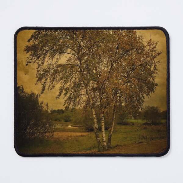 Item preview, A Single Birch Tree designed and sold by rawshutterbug.