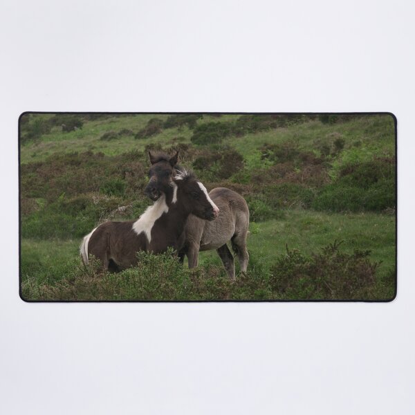 Item preview, Wild Dartmoor Foals designed and sold by rawshutterbug.