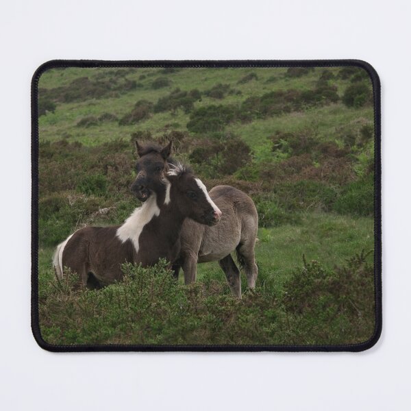 Item preview, Wild Dartmoor Foals designed and sold by rawshutterbug.