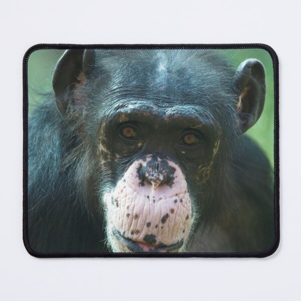 Item preview, Rosie The Chimpanzee designed and sold by rawshutterbug.