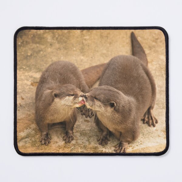 Item preview, Kissing Otters designed and sold by rawshutterbug.