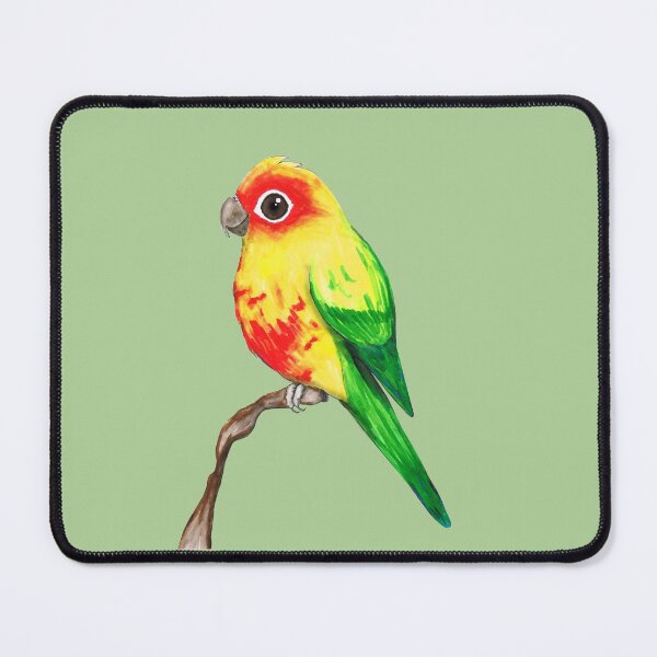 Item preview, Cute sun conure designed and sold by Bwiselizzy.