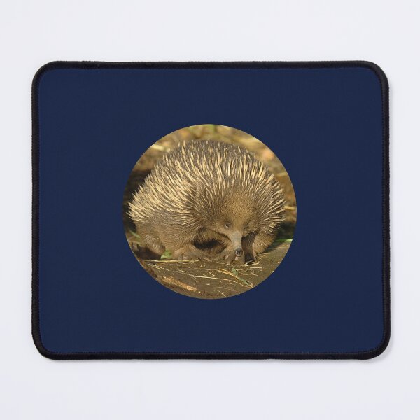 Item preview, Echidna portrait designed and sold by quentinjlang.