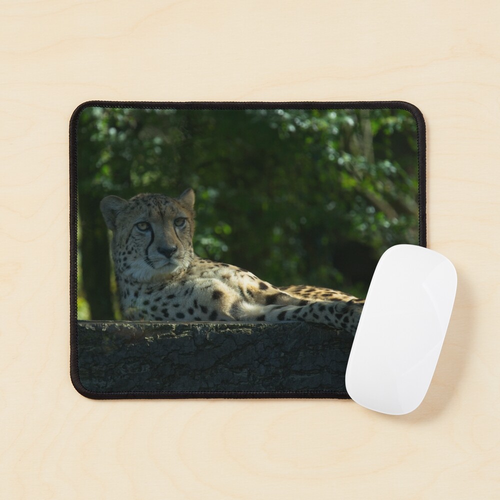 Item preview, Mouse Pad designed and sold by rawshutterbug.