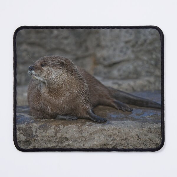 Item preview, Otter designed and sold by rawshutterbug.