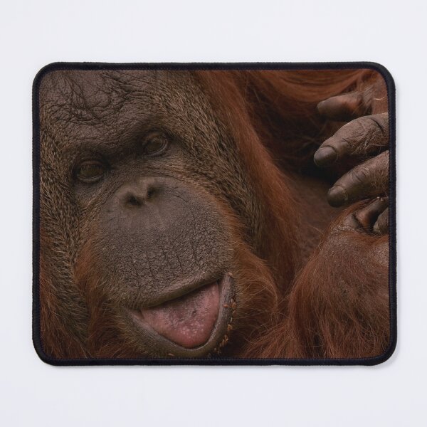 Item preview, Orangutan Close-Up designed and sold by rawshutterbug.