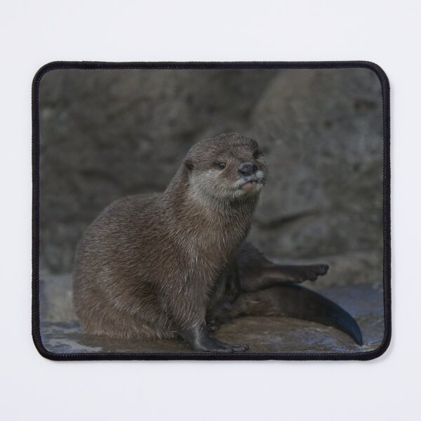 Item preview, Otter designed and sold by rawshutterbug.