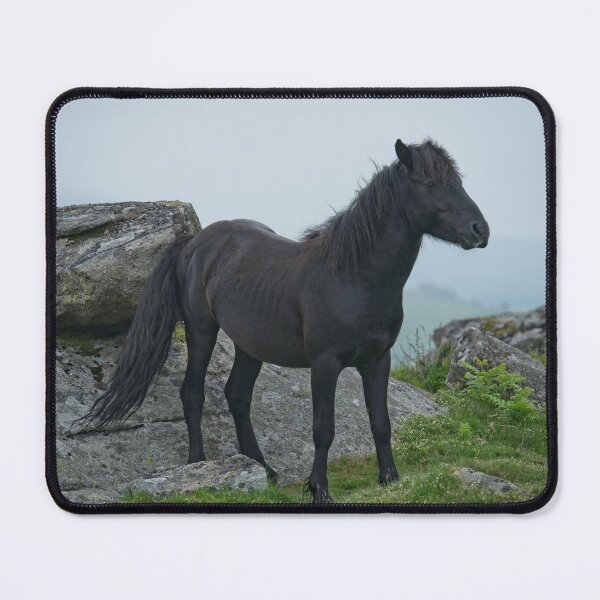 Item preview, Dartmoor Heritage Pony designed and sold by rawshutterbug.