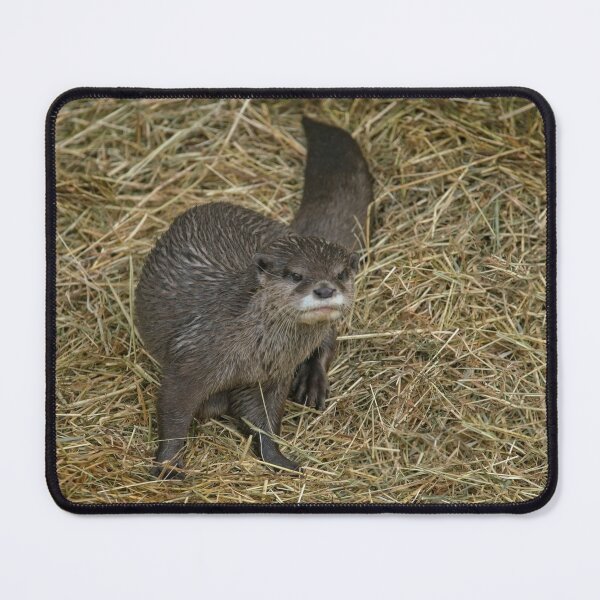 Item preview, Otter designed and sold by rawshutterbug.