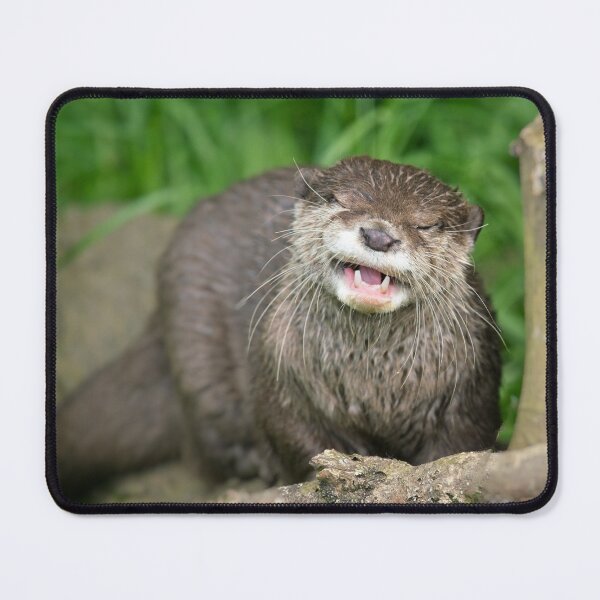 Item preview, Smiling Otter designed and sold by rawshutterbug.