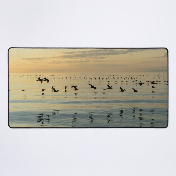 Item preview, Flying Bird Ribbons - Cormorant Flocks and Ripplets designed and sold by Georgia Mizuleva.