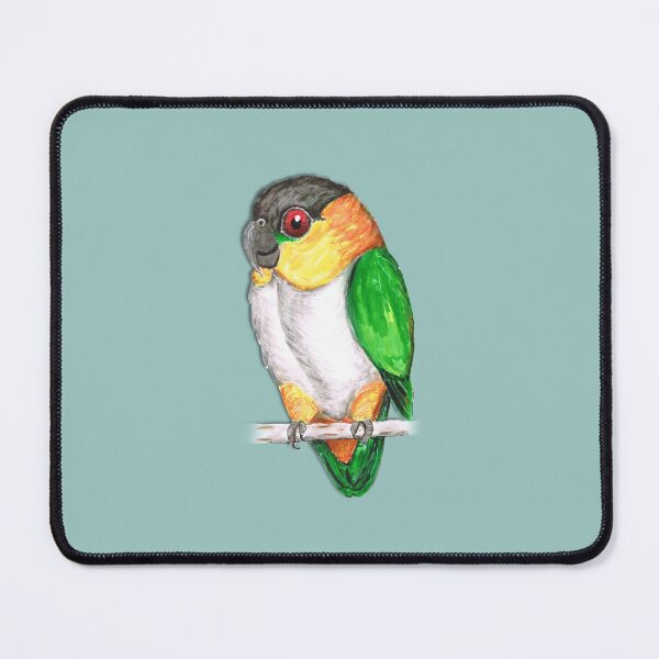 Item preview, Black headed caique designed and sold by Bwiselizzy.