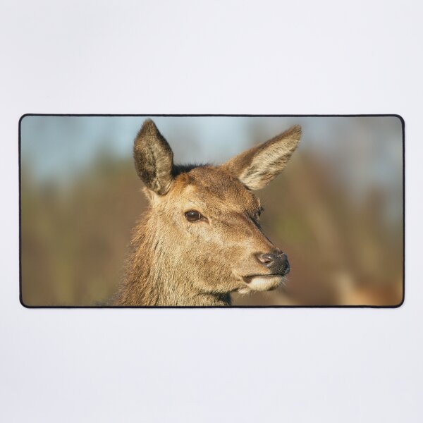 Item preview, Wild Red Deer designed and sold by rawshutterbug.