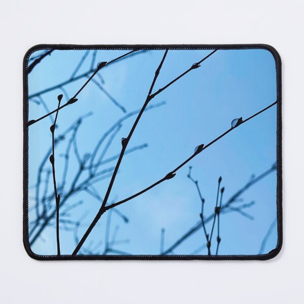 Item preview, Raindrops on a branch with a blue sky, pure nature from the woods designed and sold by Between Clouds.