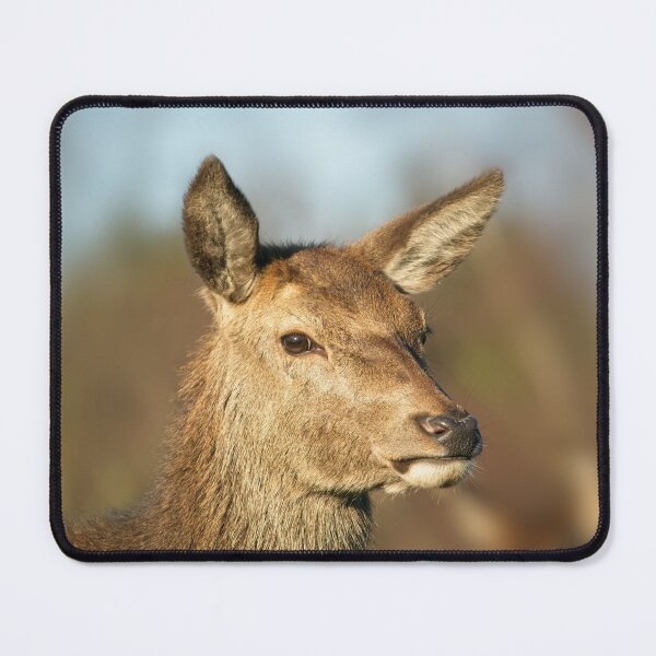 Item preview, Wild Red Deer designed and sold by rawshutterbug.