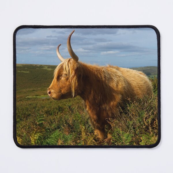 Item preview, Highland Cow designed and sold by rawshutterbug.