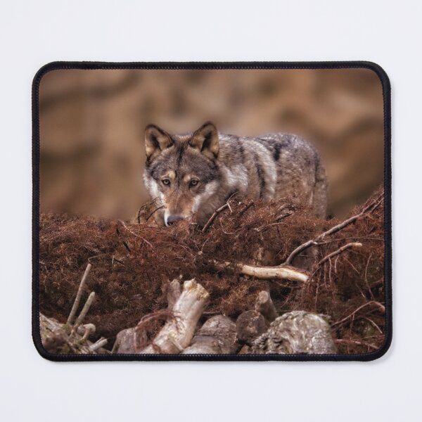 Item preview, Grey Wolf designed and sold by rawshutterbug.