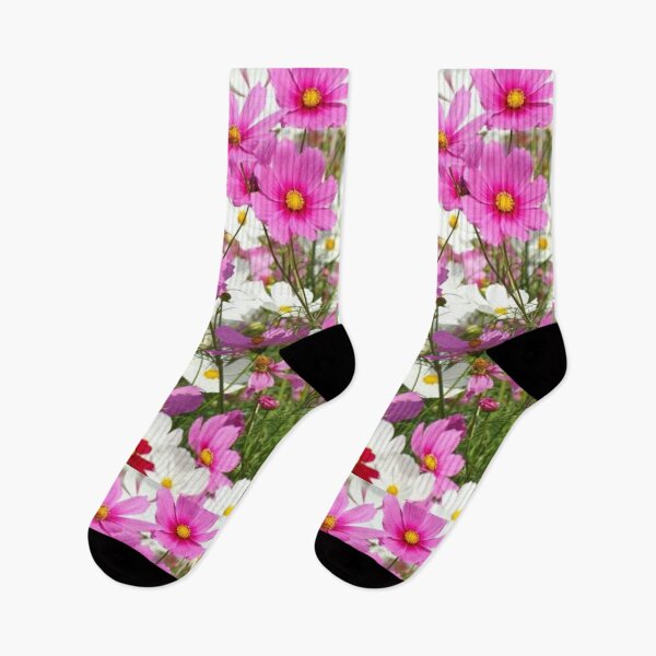 Item preview, Cosmos flowers designed and sold by Madventures South Australia.