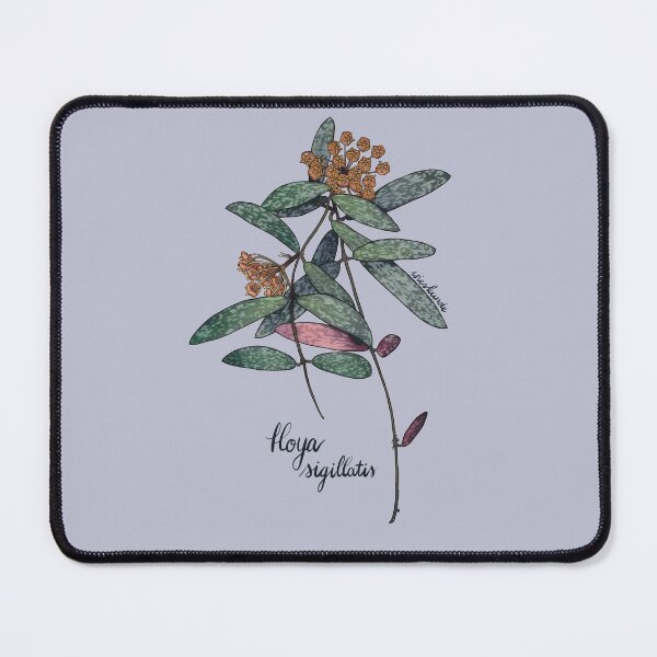 Item preview, Hoya sigillatis in bloom designed and sold by Wieskunde.