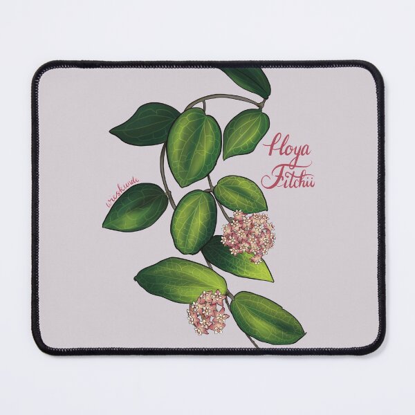 Item preview, Hoya Fitchii designed and sold by Wieskunde.