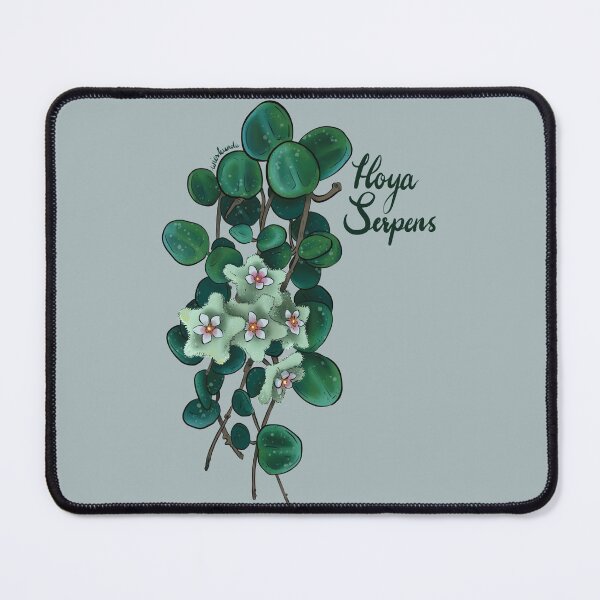 Item preview, Hoya serpens splash in bloom illustration designed and sold by Wieskunde.
