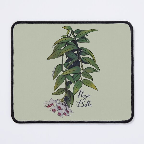 Item preview, Hoya bella in bloom designed and sold by Wieskunde.