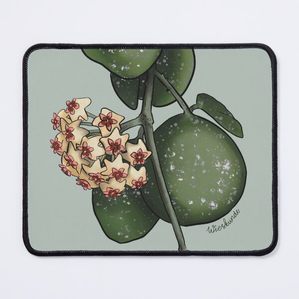 Item preview, Hoya obovata illustration designed and sold by Wieskunde.