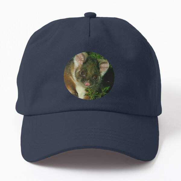 Ringtail Possum portrait Dad Hat