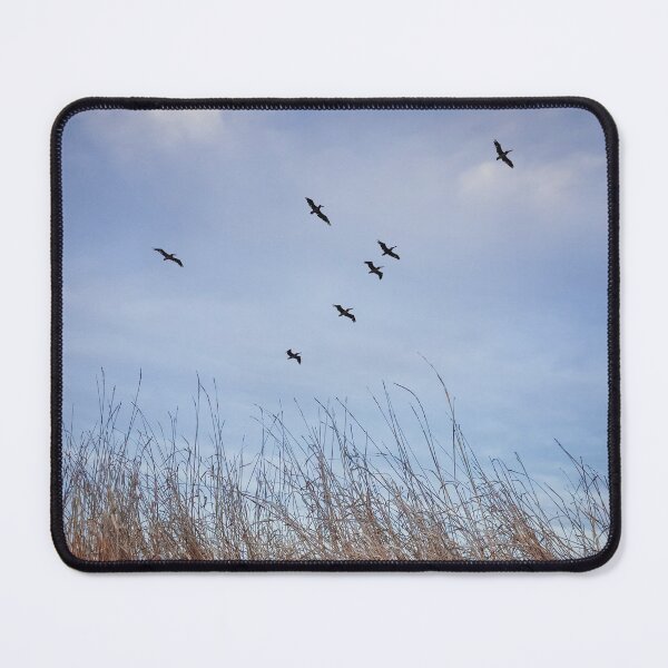 Item preview, birds migration designed and sold by psychoshadow.
