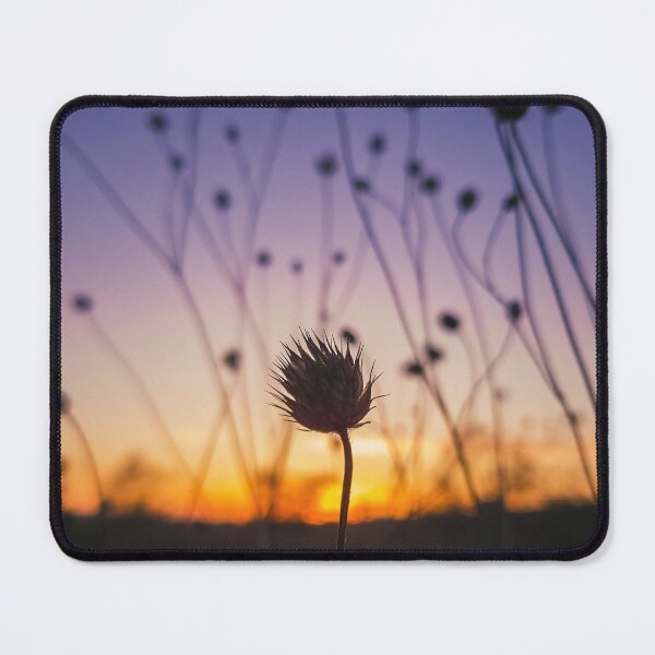 Item preview, dry scabious designed and sold by psychoshadow.