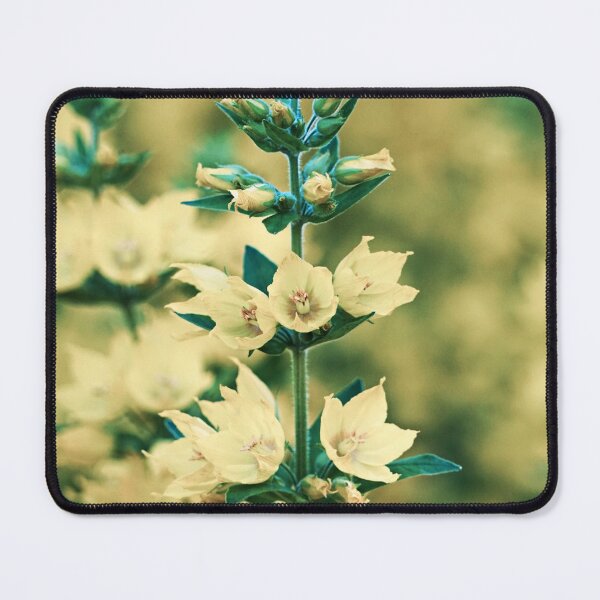 Item preview, yellow flower field - floral designed and sold by Designbyfia.
