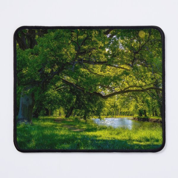 Item preview, Summer Morning in the Park designed and sold by Nicklas81.